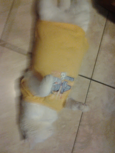 Movie Theater «AMC Brighton 12», reviews and photos, 250 Pavilions Pl, Brighton, CO 80601, USA