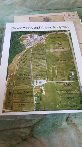 Winery «Dablon Vineyards & Winery», reviews and photos, 111 W Shawnee Rd, Baroda, MI 49101, USA
