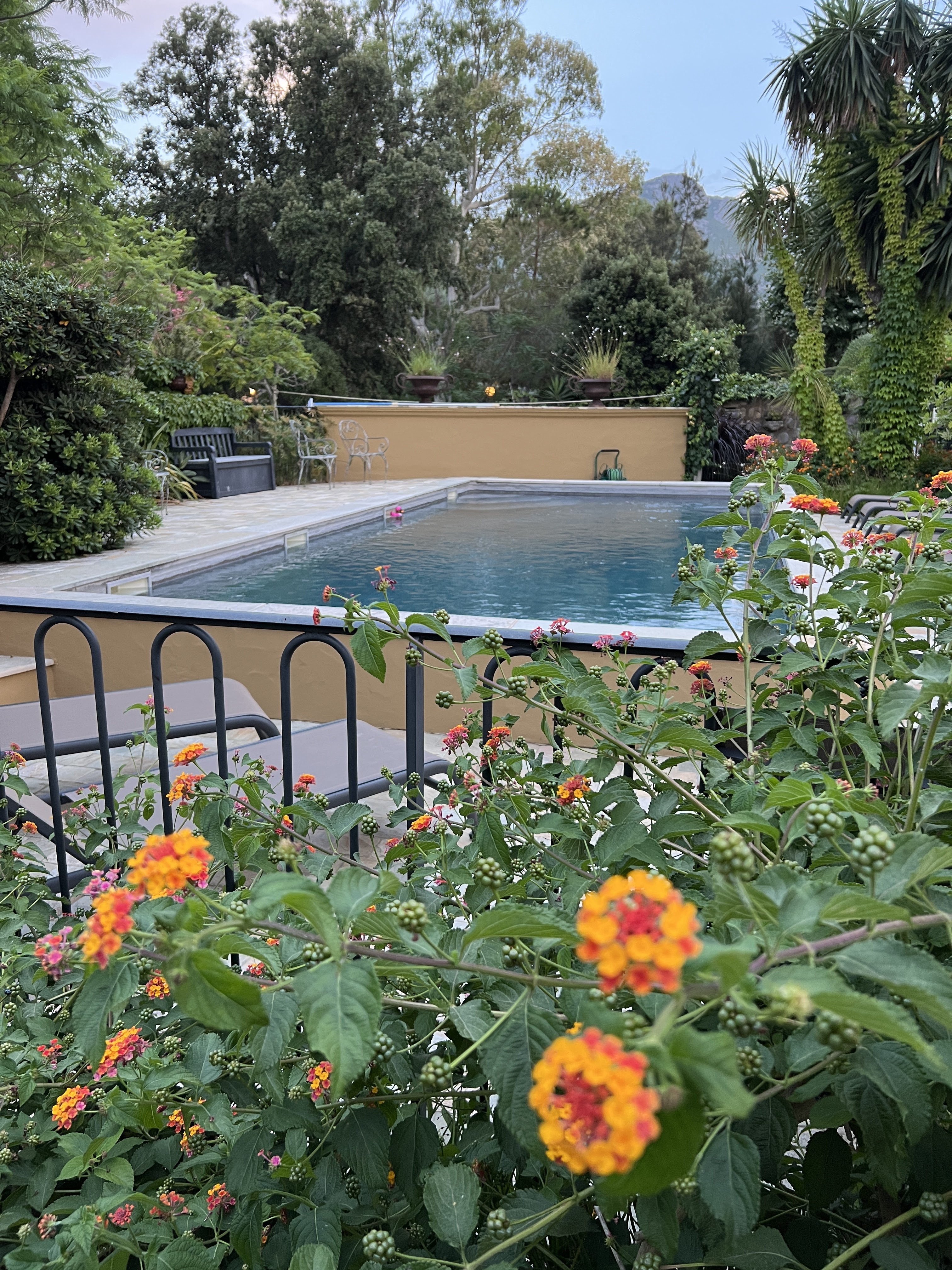 Photo n° 5 de l'avis de Stéphane.o fait le 26/06/2022 à 19:47