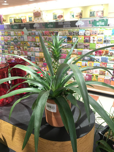 Grocery Store «Market Basket», reviews and photos, 8 Highland Common E, Hudson, MA 01749, USA