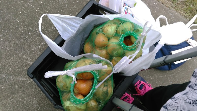 南白亀川土手駐車場 千葉県白子町剃金 無料駐車場 駐車場 グルコミ