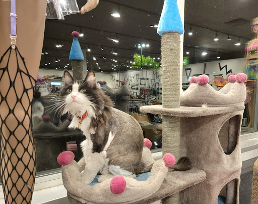 Used Clothing Store «iconoCLAD», reviews and photos, 414 300 S, Salt Lake City, UT 84111, USA