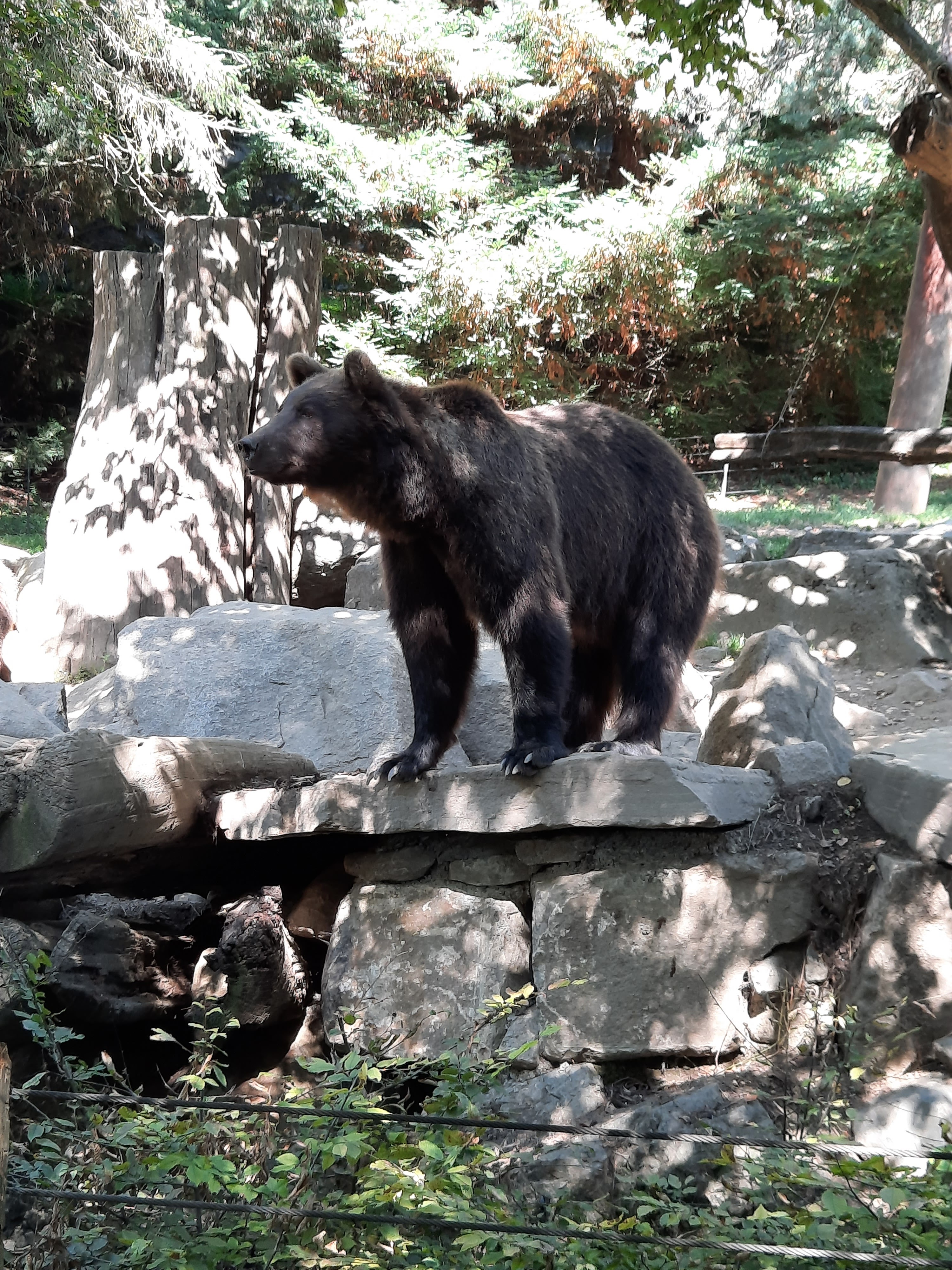 Photo n° 17 de l'avis de Gwen.i fait le 08/08/2023 à 13:19