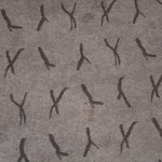 Photo n°17 de l'avis de Stefi.. fait le 04/04/2023 à 19:11 sur le  Select Hotel Oberhausen à Oberhausen