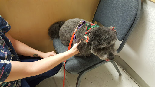 Animal Feed Store «Wilco Farm Store», reviews and photos, 2300 E Hancock St, Newberg, OR 97132, USA