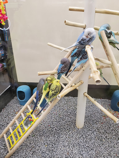 Pet Supply Store «Petco Animal Supplies», reviews and photos, 4663 Firestone Blvd, South Gate, CA 90280, USA