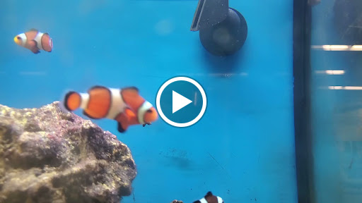 Pet Supply Store «Petco Animal Supplies», reviews and photos, 390 Universal Dr N, North Haven, CT 06473, USA