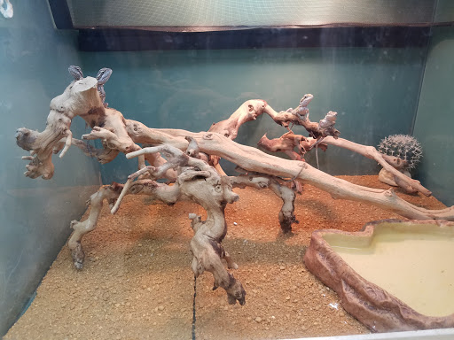 Pet Supply Store «Premier Pet Supply», reviews and photos, 15399 Merriman Rd, Livonia, MI 48154, USA