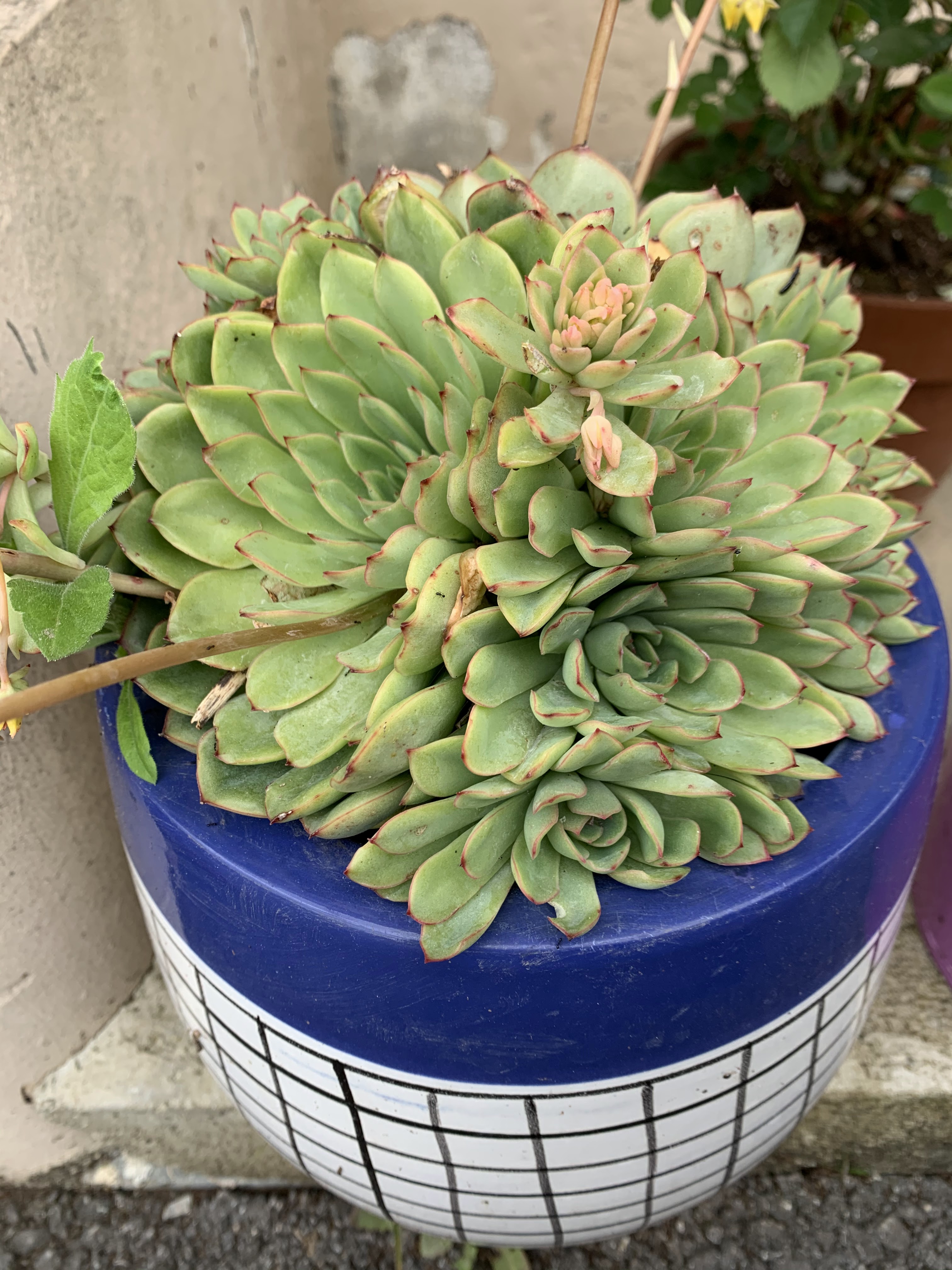 Photo n° 9 de l'avis de Jose.a fait le 01/05/2020 à 08:36