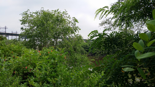 Auto Parts Store «B.S.F. Auto Parts», reviews and photos, 1170 Bronx River Ave, Bronx, NY 10472, USA