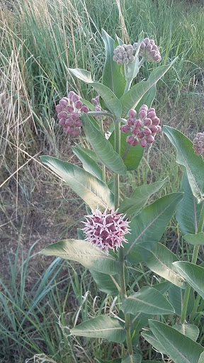 Park «Olympic Park», reviews and photos, 15501 E Yale Ave, Aurora, CO 80013, USA