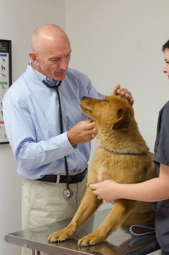 Carbondale Veterinary Hospital image