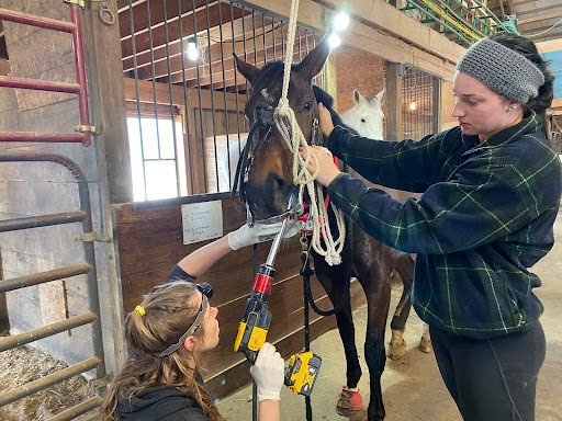 Stone Ridge Equine Care image