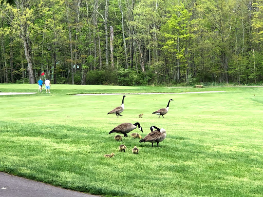 Golf Course «Knoebels Three Ponds Golf Club», reviews and photos, 954 PA-487, Elysburg, PA 17824, USA