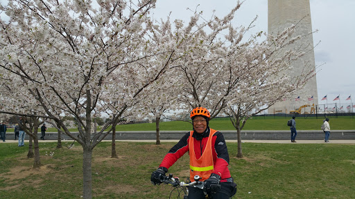Gift Shop «The Gallery Shops», reviews and photos, 401 Constitution Ave NW, Washington, DC 20565, USA