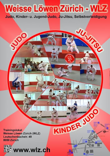 Judo und Ju-Jitsu Club Weisse Löwen Zürich - Fitnessstudio
