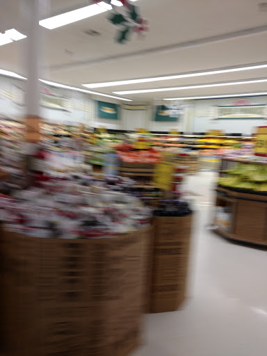 Grocery Store «Food Lion», reviews and photos, 73 Asheville Rd, Sylva, NC 28779, USA