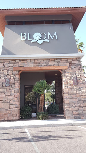 Bloom Reproductive Institute, PLLC