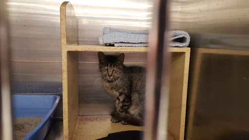 Pet Supply Store «PetSmart», reviews and photos, 10600 Melody Dr, Northglenn, CO 80234, USA