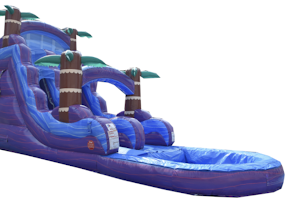 Bounce House & Water Slide Rentals of Land O' Lakes image