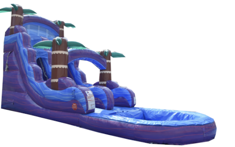 Bounce House & Water Slide Rentals of Land O' Lakes image