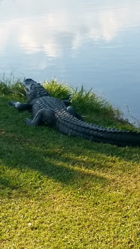 Golf Course «Clewiston Golf Course», reviews and photos, 1201 San Luiz Ave, Clewiston, FL 33440, USA
