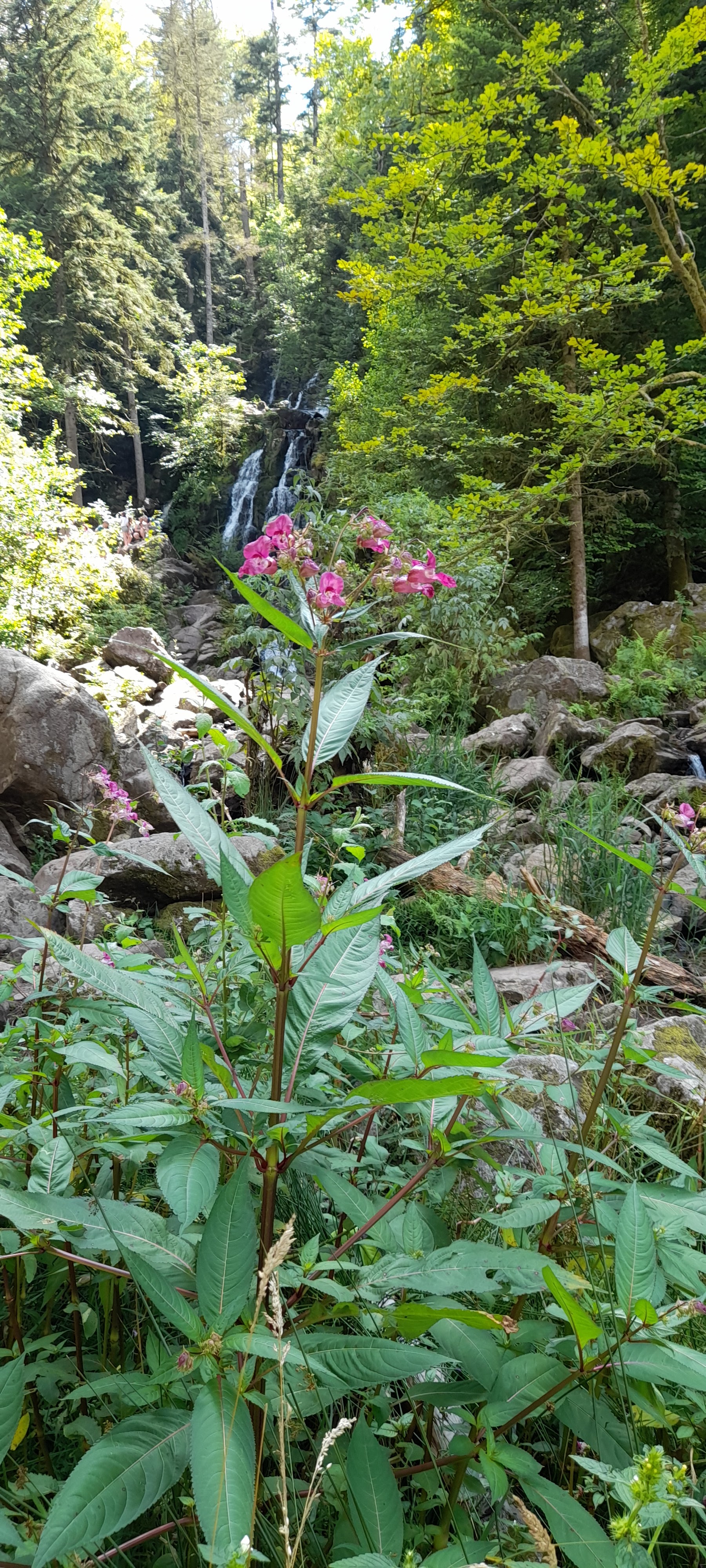 Photo n° 9 de l'avis de Philippe.e fait le 10/08/2021 à 15:47