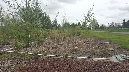 Park «Hogan Park», reviews and photos, 24400 Russell Rd, Kent, WA 98032, USA