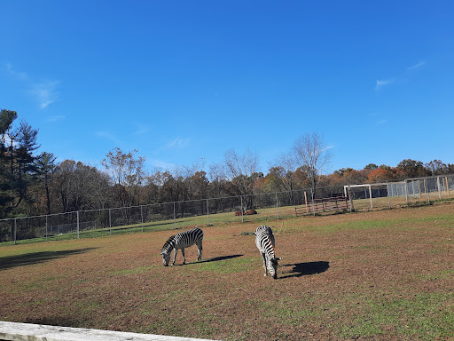 Zoo «Plumpton Park Zoo», reviews and photos, 1416 Telegraph Rd, Rising Sun, MD 21911, USA