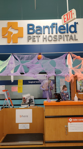 Pet Supply Store «PetSmart», reviews and photos, 2435 Prairie Center Pkwy, Brighton, CO 80601, USA