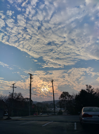 Coffee Shop «Starbucks», reviews and photos, 8121 TN-100, Bellevue, TN 37221, USA