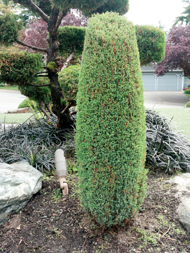 Park «Highlands Park», reviews and photos, 16123 Highlands Blvd SE, Mill Creek, WA 98012, USA