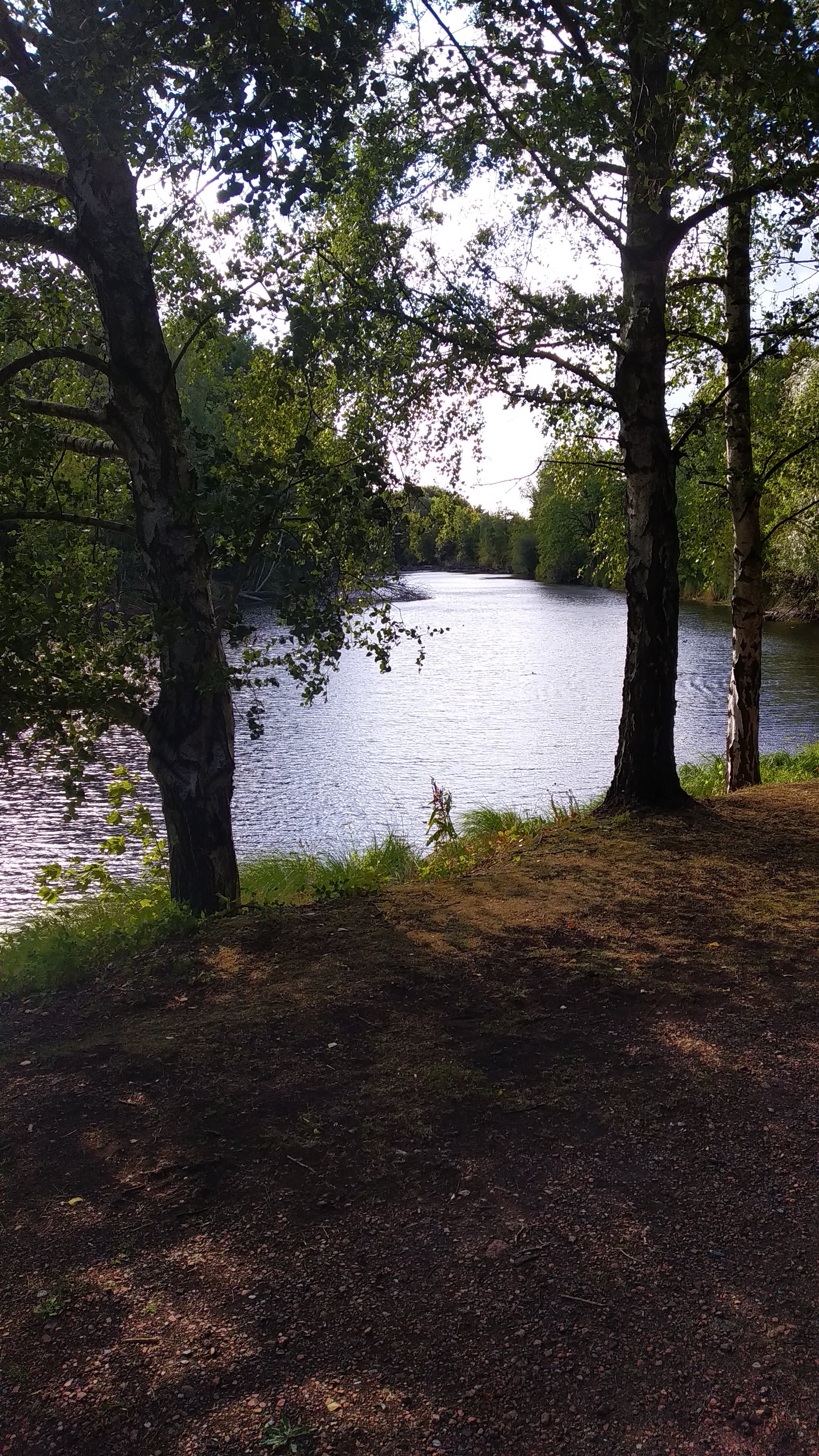 Photo n° 8 de l'avis de Philippe.a fait le 05/09/2019 à 14:39