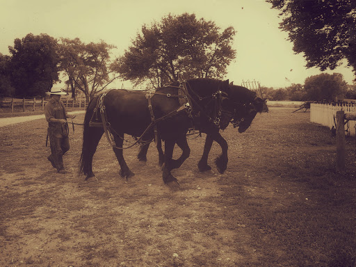 History Museum «Living History Farms», reviews and photos, 11121 Hickman Rd, Urbandale, IA 50322, USA