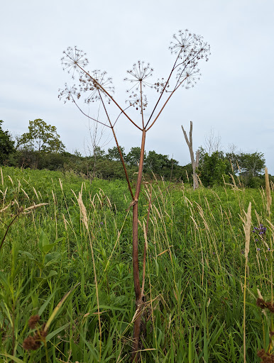 Nature Preserve «Kishwauketoe Nature Conservancy», reviews and photos, 251 Elkhorn Rd, Williams Bay, WI 53191, USA
