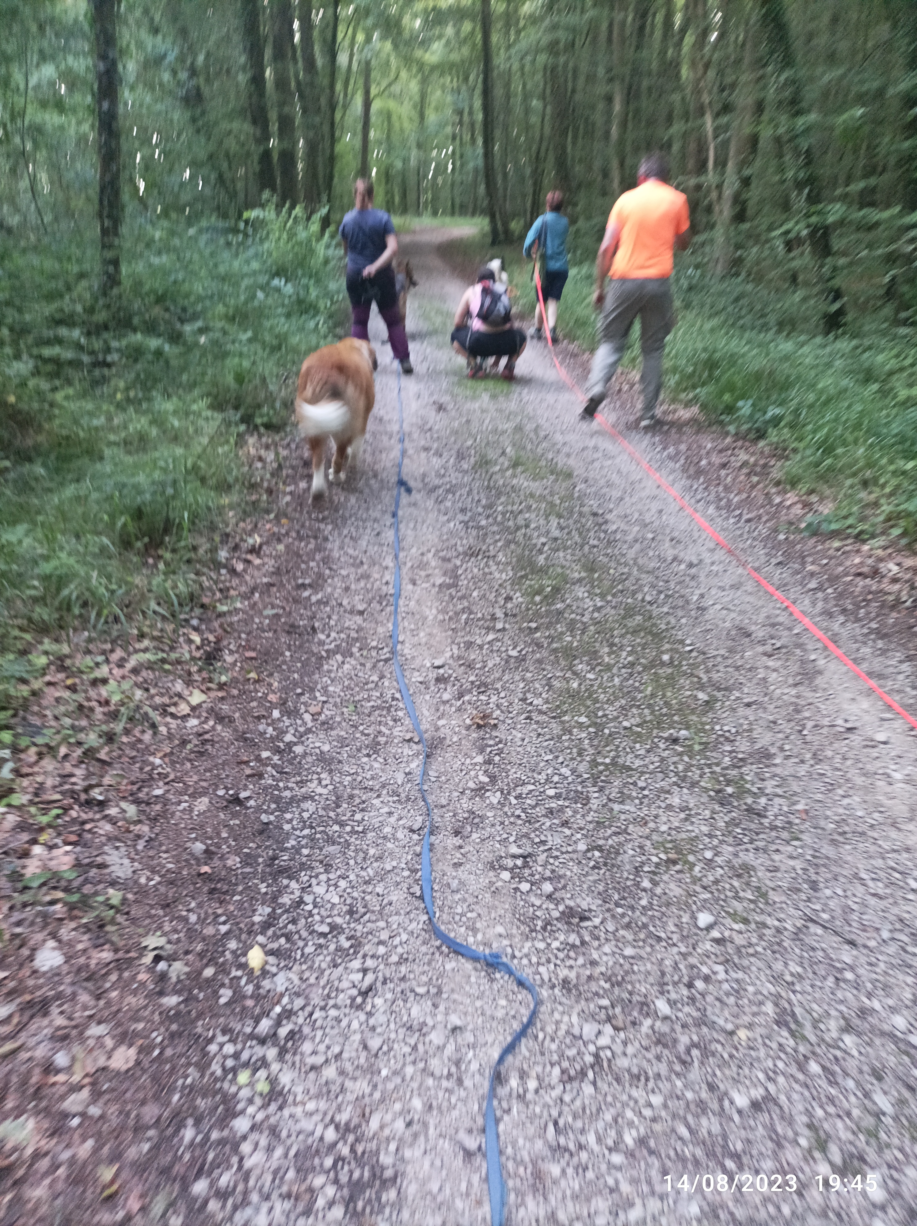 Photo n° 1 de l'avis de Gloria.A fait le 19/08/2023 à 13:09