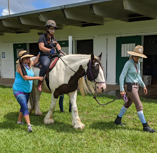 Clases montar a caballo Orlando