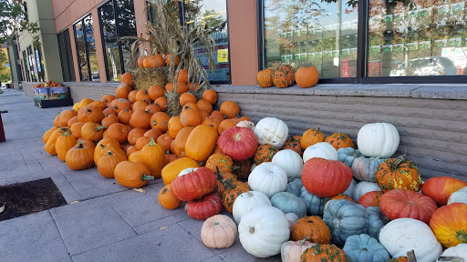 Grocery Store «Safeway», reviews and photos, 735 NW Gilman Blvd, Issaquah, WA 98027, USA