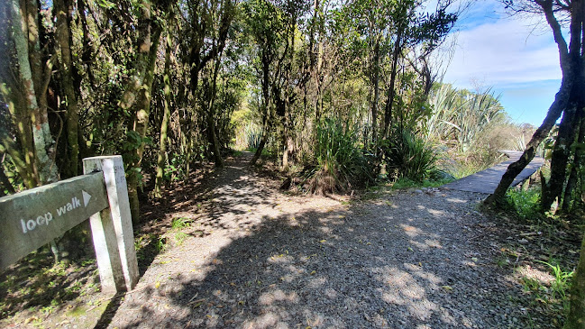 Kowhai Bush walkway - Greymouth