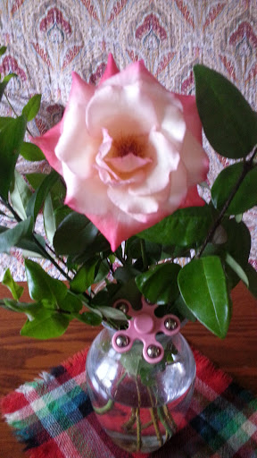 Supermarket «Jons Marketplace», reviews and photos, 600 E Colorado St, Glendale, CA 91205, USA