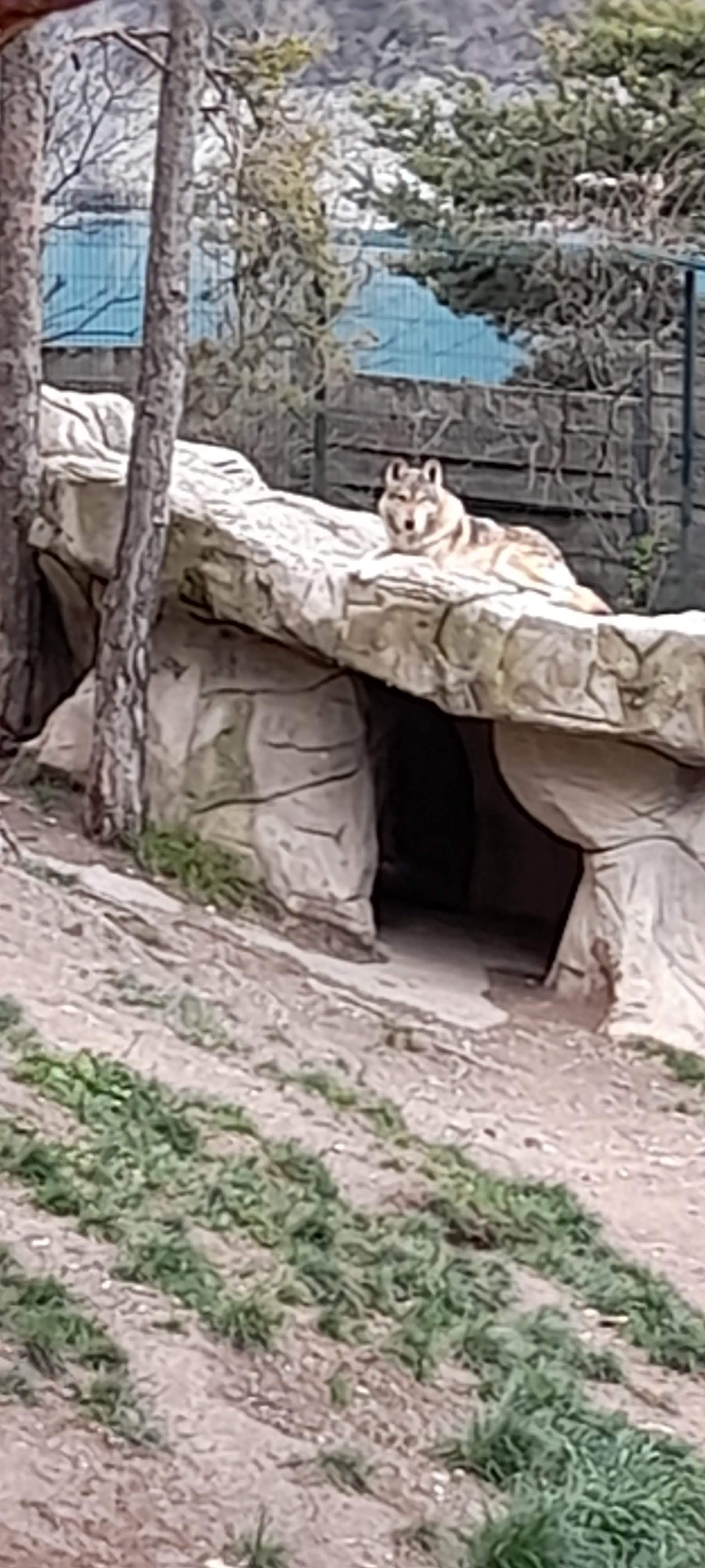 Photo n° 2 de l'avis de jennifer.a fait le 24/05/2023 à 11:46