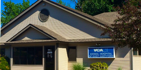 VCA Animal Hospital of East Hartford