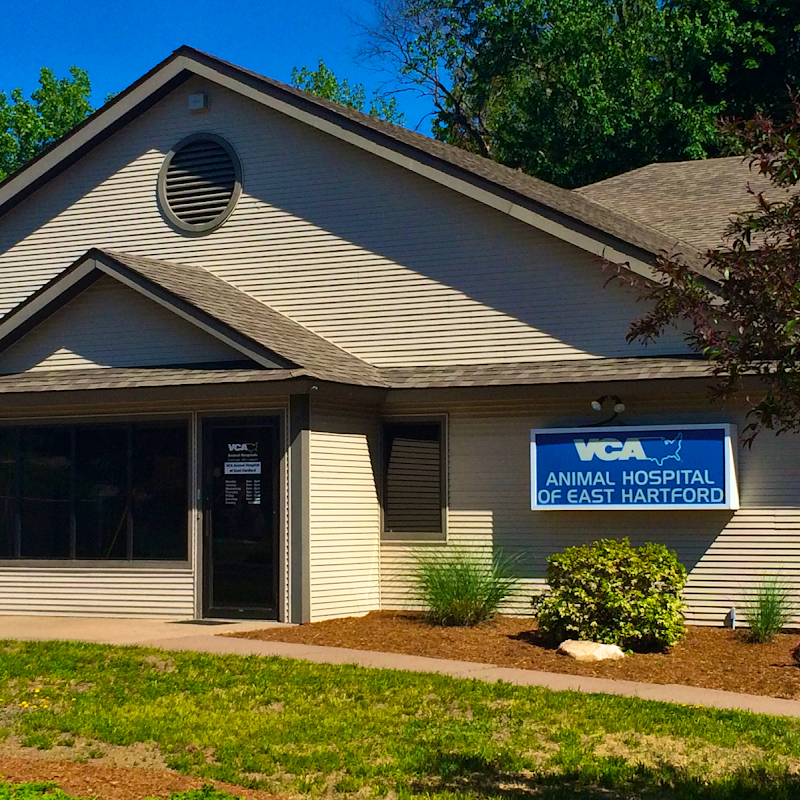 VCA Animal Hospital of East Hartford