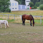 Photo n°1 de l'avis de Niclas.o fait le 06/08/2020 à 07:35 sur le  Gasthof Dörsbachhöhe - Monika Jahn à Herold