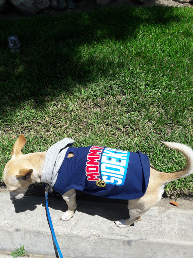 Pet Supply Store «Petco Animal Supplies», reviews and photos, 6761 Westminster Ave, Westminster, CA 92683, USA