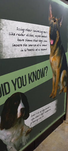 Pet Supply Store «Pet Supplies Plus», reviews and photos, 4250 N Alafaya Trail #240, Oviedo, FL 32765, USA