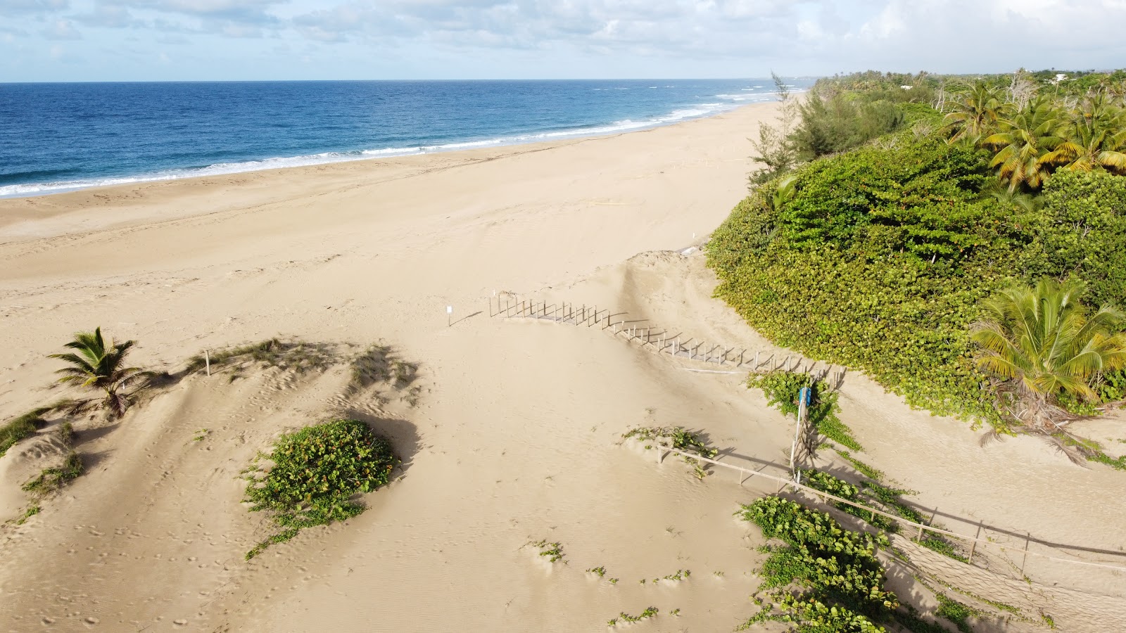 Fotografija Hallows beach z svetel pesek površino