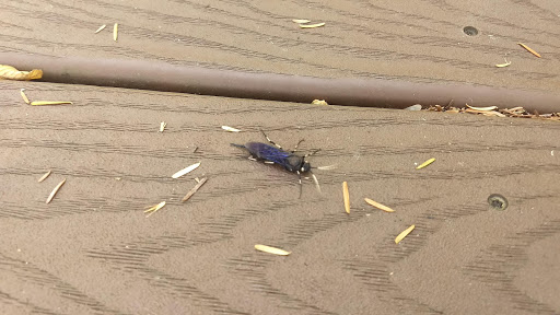 Park «West Hylebos Wetlands Park», reviews and photos, 411 S 348th St, Federal Way, WA 98003, USA