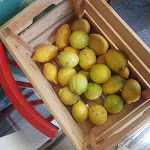 Photo n°11 de l'avis de Fabiana.a fait le 05/08/2020 à 13:08 sur le  Alici come Prima à Cetara