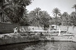 عين البحيرية image